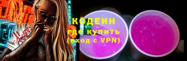 гидра Богородск