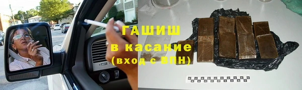 сатива Беломорск