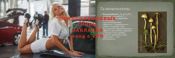 сатива Беломорск