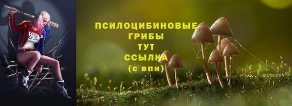 сатива Беломорск