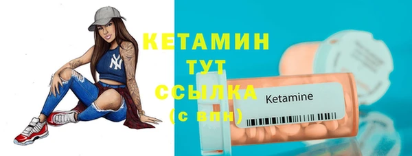 сатива Беломорск