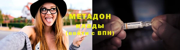 сатива Беломорск