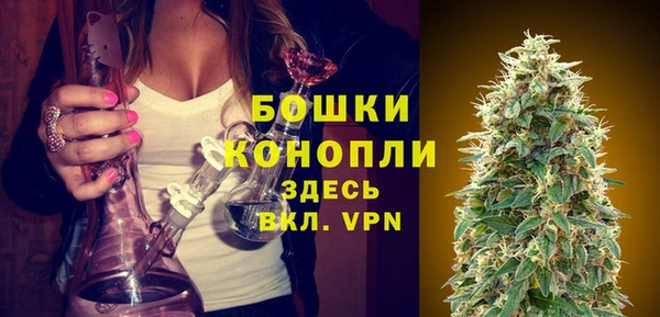 гидра Богородск