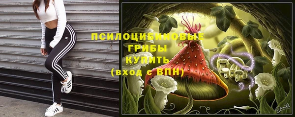 меф Белокуриха