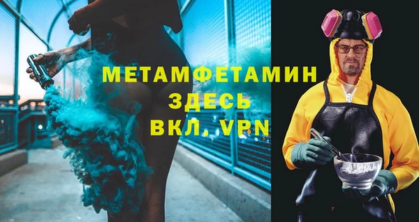 сатива Беломорск