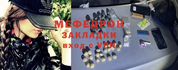 гидра Богородск