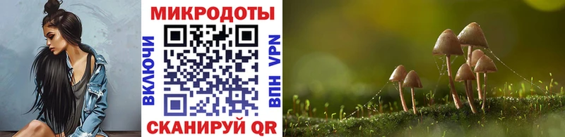 Псилоцибиновые грибы прущие грибы  Озёрск 